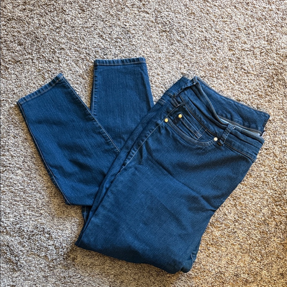 Torrid Navy Skinny Jeans